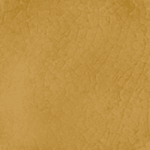 Honey yellow tile color