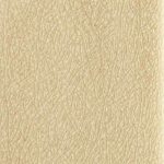 Cappuccino farba obkladu