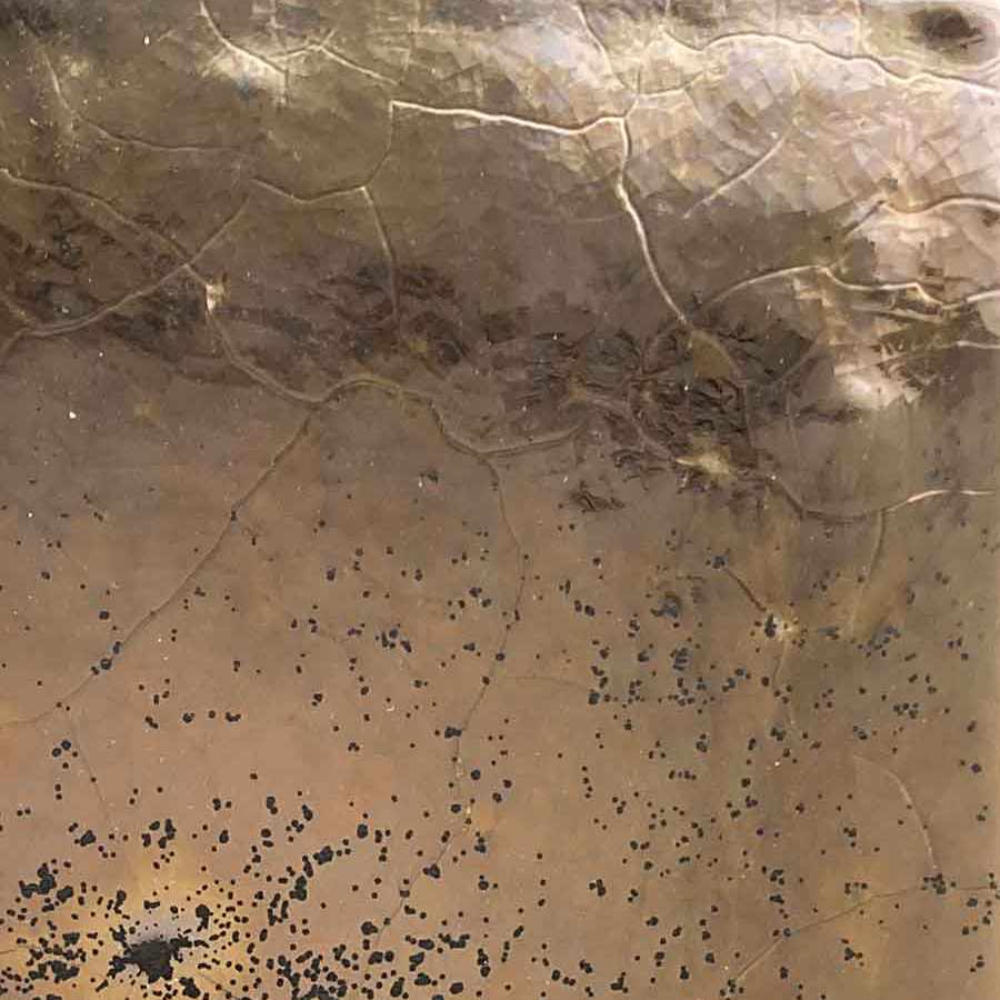 Zlatá farba obkladu