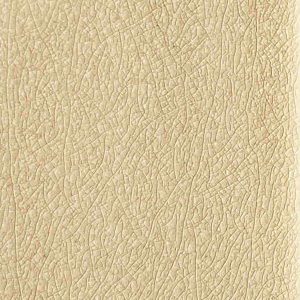 Cappuccino tile color